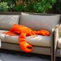 MX Home Lobster Cushion - Orange
