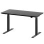 Oakywood Standing Desk Pro - Black