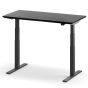 Oakywood Standing Desk Pro - Black