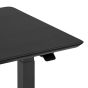 Oakywood Standing Desk Pro - Black