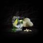 P-Stash Pistachio Nuts Mint & Lime - 50g
