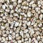 P-Stash Pistachio Nuts Mint & Lime - 50g