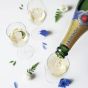 Pommery Royal Brut Apanage Champagne