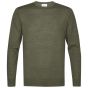 Profuomo Merino Woolen Crewneck Pullover - Dark Green