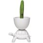 Qeeboo Turtle Carry Planter & Champagne Cooler
