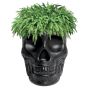 Qeeboo Mexico Skull Planter and Cooler Black