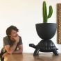 Qeeboo Turtle Carry Planter and Champagne Cooler