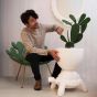 Qeeboo Turtle Carry Planter & Champagne Cooler