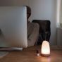 Serene House Astro Aroma Diffuser