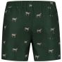 Son of a Beach Father & Son Swim Shorts Panter - Green