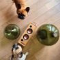 Personnalisé Soundivine Le Magnum Music Speaker