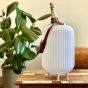 Nikki.Amsterdam the lampion, cooler bluetooth speaker