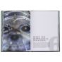 The Essence Of Rolex