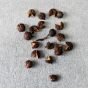 The Mocktail Club Botanicals: Timut Pepper