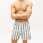 Tommy Hilfiger Swim Shorts - Minty Grey