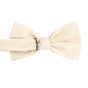 Tresanti silk bowtie