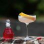 Vaccin D'Amour Elixir Extraordinaire