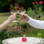 Vaccin D'Amour Elixir Extraordinaire