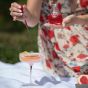 Vaccin D'Amour Elixir Extraordinaire