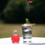 Vaccin D'Amour Elixir Extraordinaire
