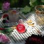 Vaccin D'Amour Elixir Extraordinaire