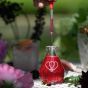 Vaccin D'Amour Elixir Extraordinaire