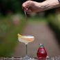 Vaccin D'Amour Elixir Extraordinaire