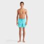Vilebrequin Swim Shorts Turtles - Light Blue