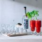 LSA Vodka Serving Set