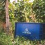 Vranken Special Brut Champagne
