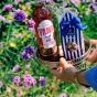 Vylmer Apéritif Du Sud