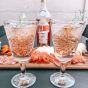 The Ultimate Vylmer Spritz Gift Box