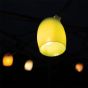 Weltevree Stringlight