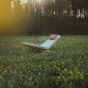 Weltevree Woodlounger