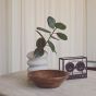 Transparent Small Transparent Bluetooth Speaker - Black