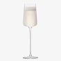 Metropolitan Champagne Flute