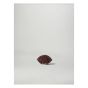 Almond - Rosso Levato