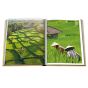 Assouline Bali Mystique