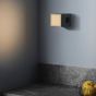 Avolt Lamp 1 LED Socket Light Oak Green