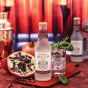 Double Dutch Pomegranate & Basil - 200 ml