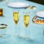 Inside Out Champagne Glass Double Walled