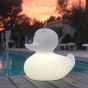 Goodnight Light The Duck Duck Lamp - XL