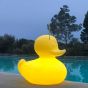 Goodnight Light The Duck Duck Lamp - XL