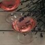 Equality Premium Aperitief