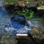 Esschert Design campfire pot