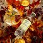 Franklin & Sons LTD Indian Tonic Water - 0,2L