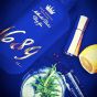 Gin 1689