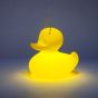 Goodnight Light The Duck Duck Lamp - Small