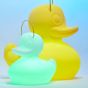 Goodnight Light The Duck Duck Lamp - Small
