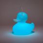 Goodnight Light The Duck Duck Lamp - Small